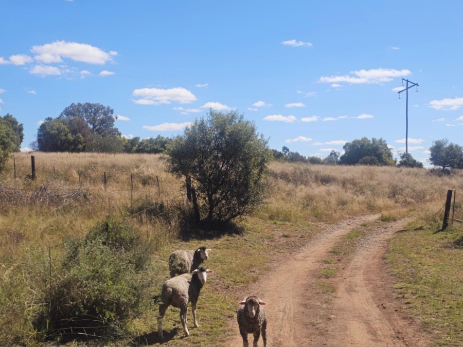4 Bedroom Property for Sale in Dewetsdorp Free State